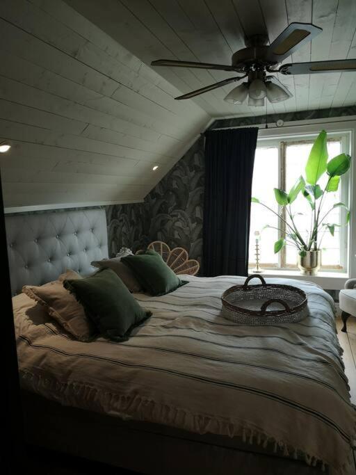 Mojo Organic Spa Borgholm Exteriör bild